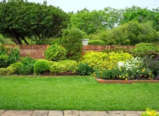 landscaping services Cordova